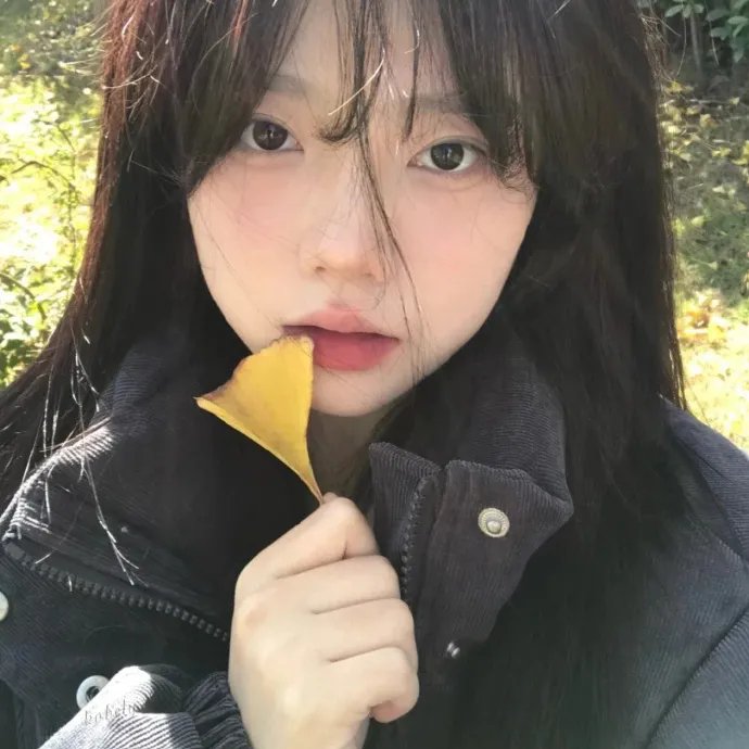 与森林共舞
